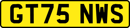 GT75NWS
