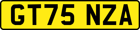 GT75NZA