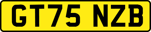 GT75NZB