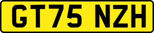 GT75NZH