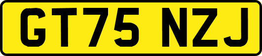 GT75NZJ