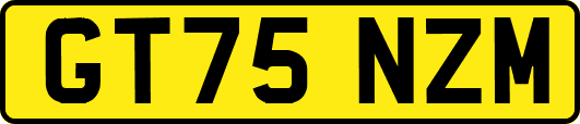 GT75NZM