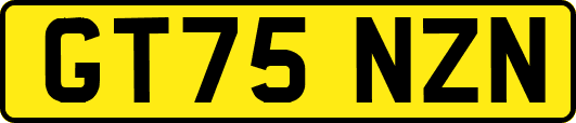 GT75NZN