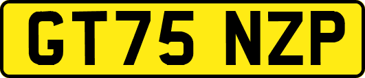 GT75NZP