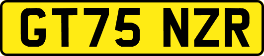 GT75NZR