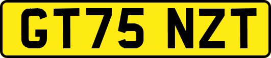 GT75NZT