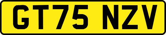 GT75NZV