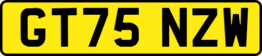GT75NZW