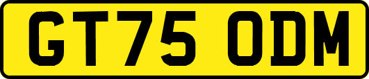 GT75ODM