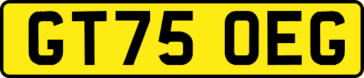GT75OEG