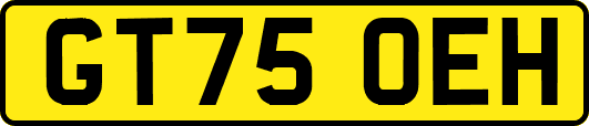GT75OEH