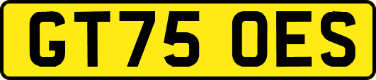 GT75OES