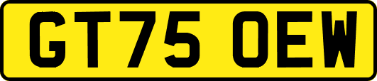 GT75OEW