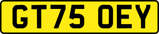 GT75OEY
