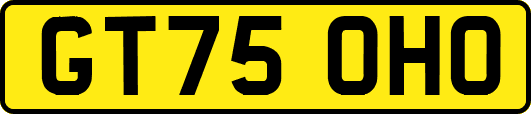 GT75OHO