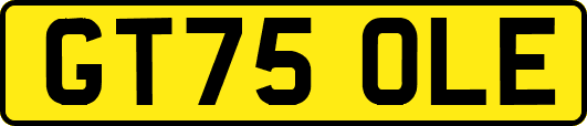 GT75OLE