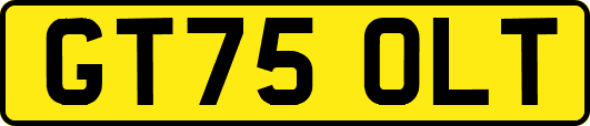 GT75OLT