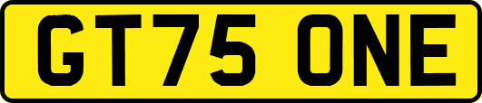 GT75ONE