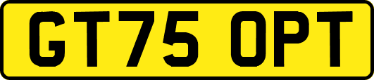 GT75OPT