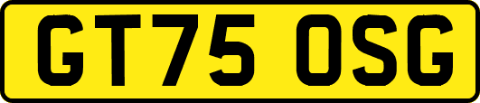 GT75OSG