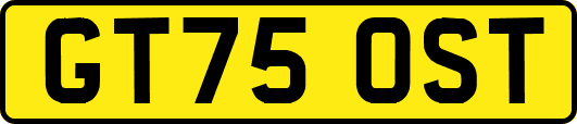 GT75OST