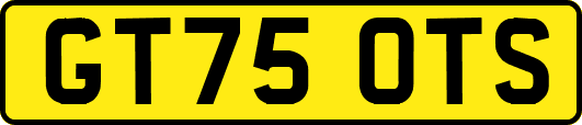 GT75OTS