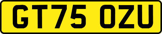 GT75OZU