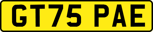 GT75PAE