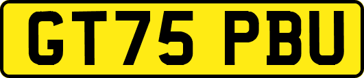 GT75PBU