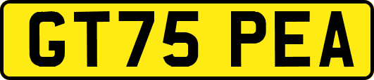 GT75PEA