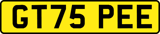 GT75PEE