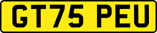 GT75PEU
