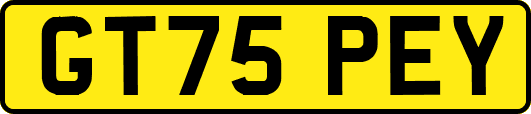 GT75PEY