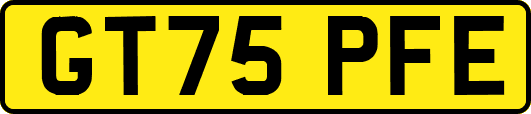 GT75PFE