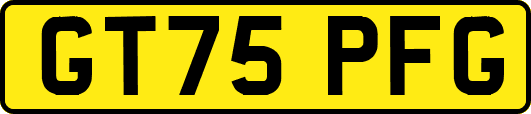 GT75PFG