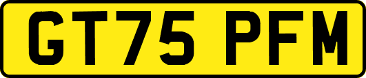 GT75PFM