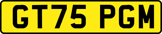 GT75PGM
