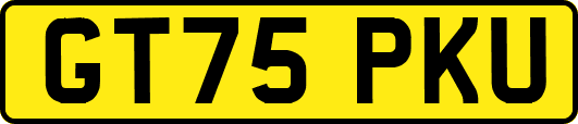 GT75PKU