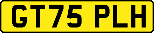 GT75PLH