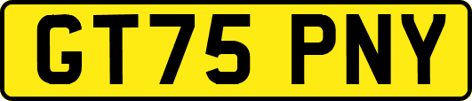 GT75PNY
