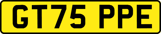 GT75PPE