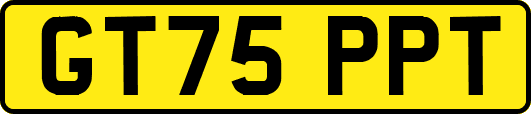 GT75PPT