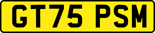 GT75PSM