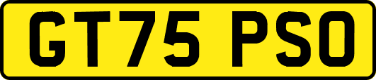 GT75PSO