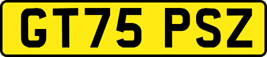 GT75PSZ