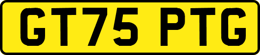 GT75PTG