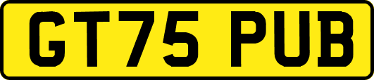GT75PUB