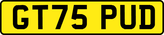 GT75PUD