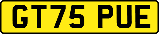 GT75PUE