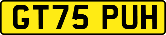 GT75PUH